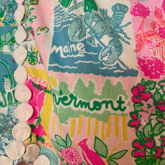 Lilly Pulitzer Patty Skort Lilly State of Mind - size 4 - Picture 4 of 4